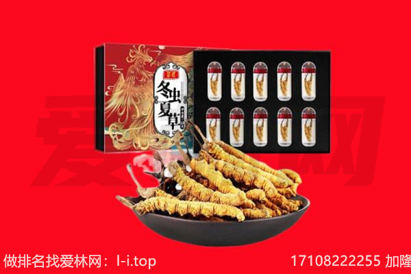 武夷山市回收虫草.jpg